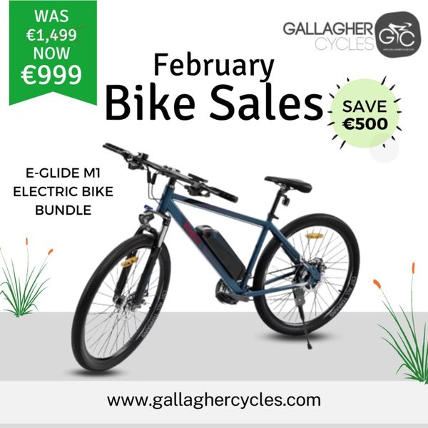 Free Delivery New 250w Electric Bike Offer for sale in Co. Donegal