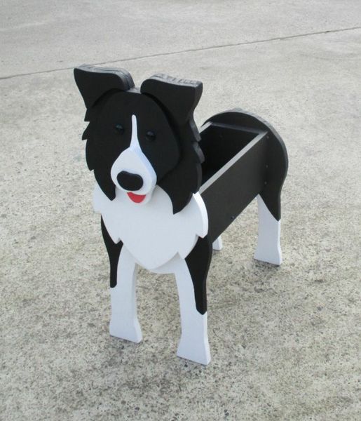 Collie 3 All Sections Ads For Sale in Ireland DoneDeal