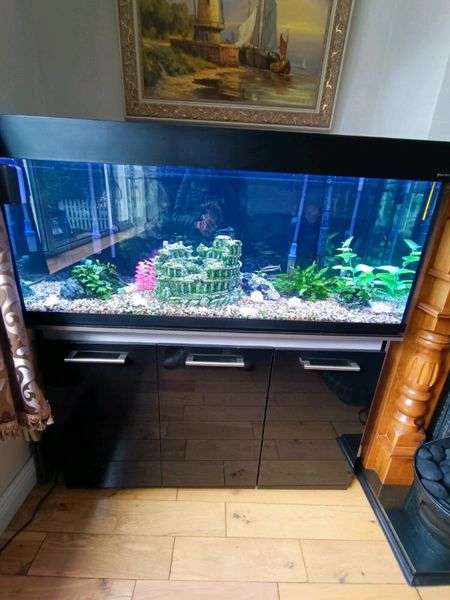 800 gallon hotsell fish tank