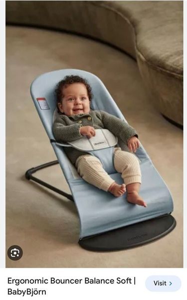 Baby bjorn outlet bouncer slipcover