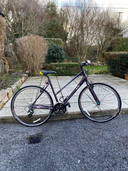 Liv women s bike for sale in Co. Galway for 300 on DoneDeal