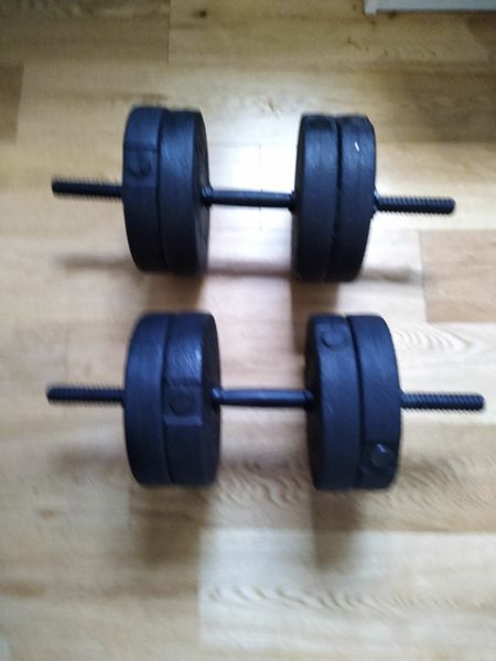 12 kg discount dumbbells for sale