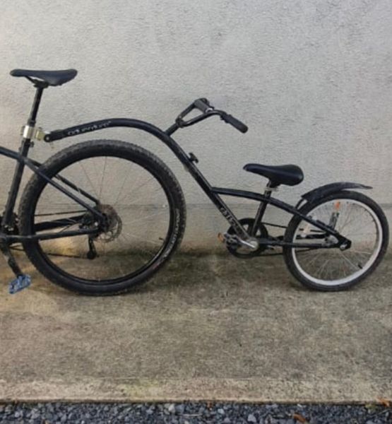 Tag along discount bike for sale