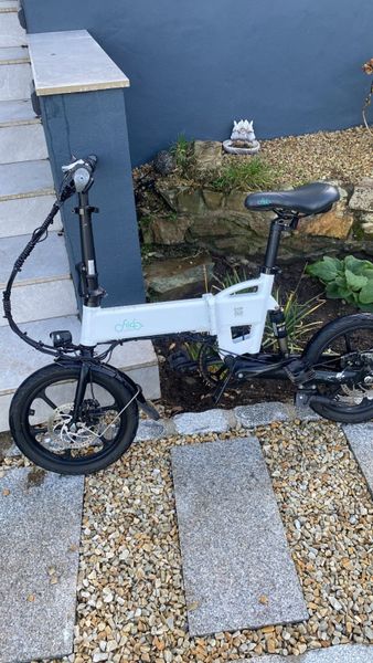 Fiido d2s electric online bike