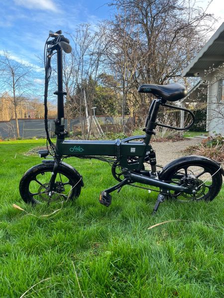 D2 electric online bike