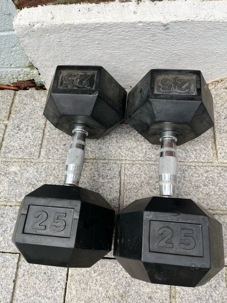 Dumbbells for sale rogue 2025