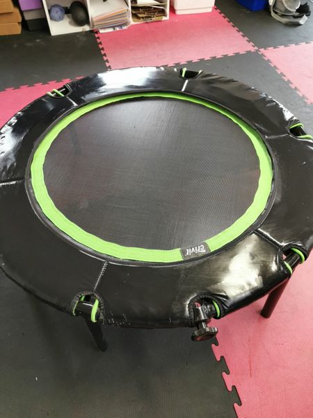 Zelus trampoline online