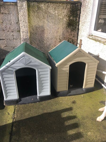 Dog kennels for shop sale done deal