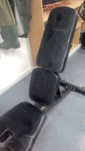 Biodyne discount weight bench