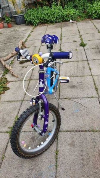 Raleigh krush discount bike 20 inch