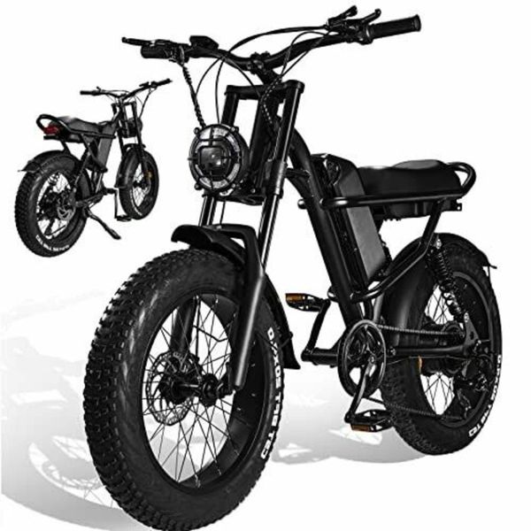 Lithium sales electric bike