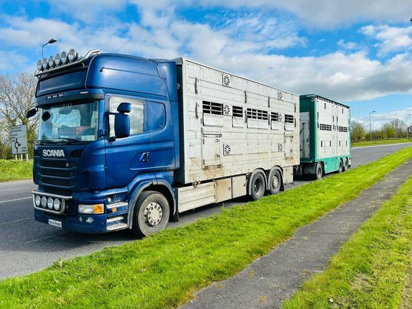 livestock lorry | 1 Beef Cattle Ad For Sale in Ireland | DoneDeal