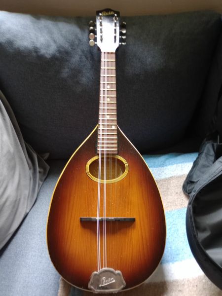 picture | 1 Stringed Instruments Ad For Sale in Ireland | DoneDeal
