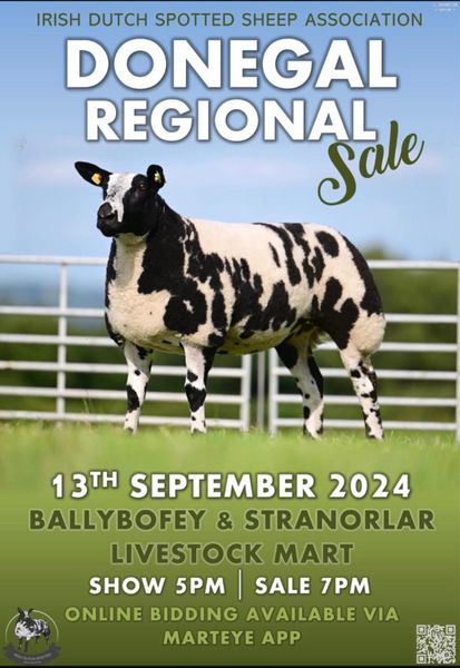 male to female usb | 4 Sheep Ads For Sale in Ireland | DoneDeal
