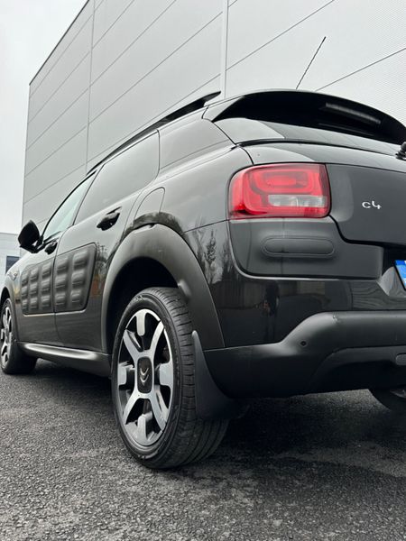 Citreon Cactus 324871581