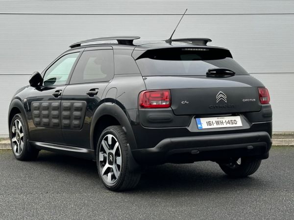 Citreon Cactus 324871607