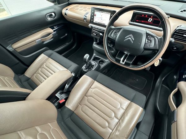 Citreon Cactus 324871608