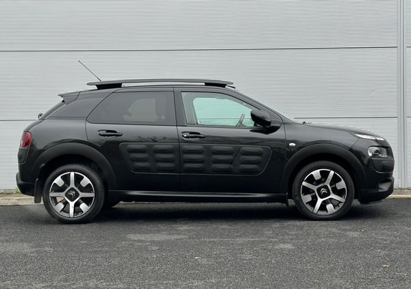 Citreon Cactus 324871614