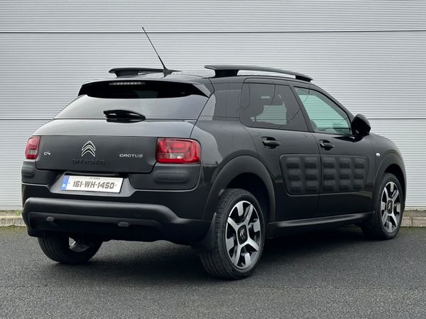 Citreon Cactus 324871616