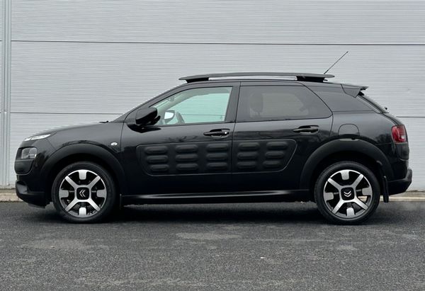 Citreon Cactus 324871617