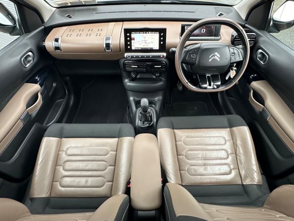 Citreon Cactus 324871612