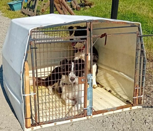Done deal dog kennels sale