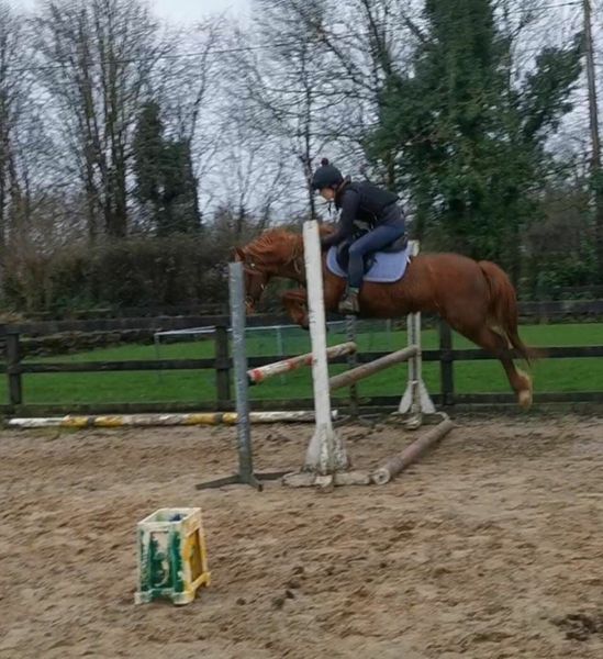 console-hall-table Ponies Ads For Sale in Ireland | DoneDeal