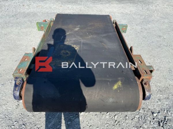 Electric Transfer Conveyor 344137673