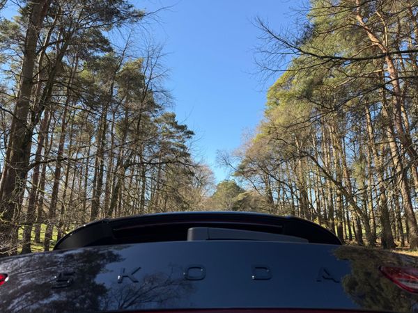 Skoda Kodiaq 4X4 Demo Huge Spec 344816675