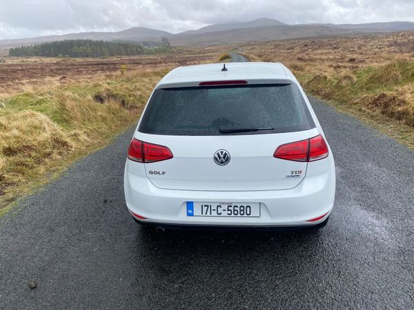 Volkswagen Golf 1.6 TDI 349536481