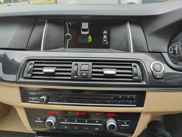 2014 - BMW 5-Series (New NCT) 356854353