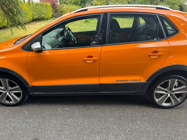 Volkswagen Polo Cross 2013 358096981