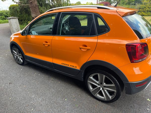 Volkswagen Polo Cross 2013 358097022