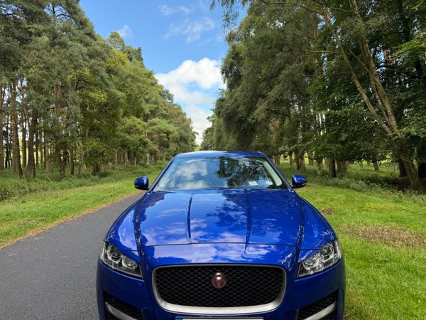 Jaguar XF 2018 R Sport Stunning Car 365877769