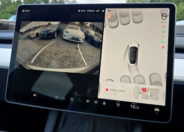 🔥 2022 Tesla Model 3 Standard Range Plus 366215274