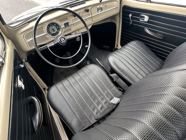 Volkswagen Beetle 1966 366273394