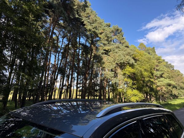 Skoda Kodiaq 2022 7 Seat DSG Automatic 366415414