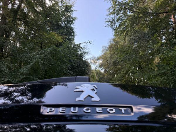 Peugeot 3008 2022 Commercial 366626851