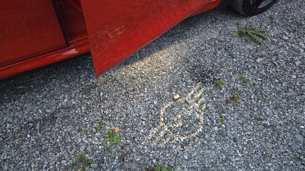 🔥 2020 Mini Cooper Sport 1.5 Petrol Manual 367978372