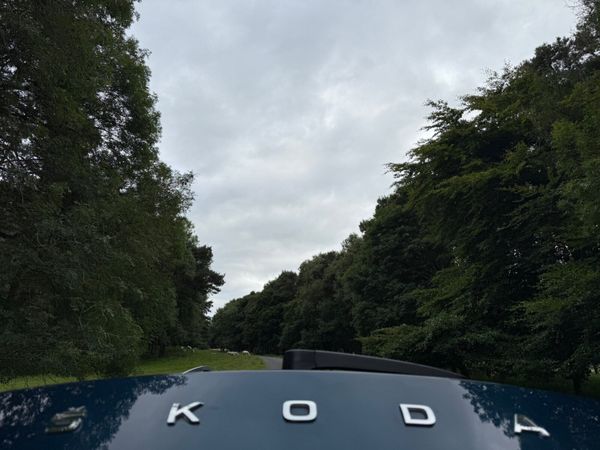 Skoda Kodiaq 2021 DSG 7 Seats 360312273