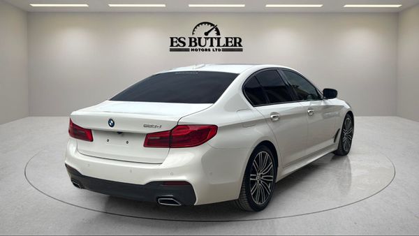 2019 BMW 523d G30 MSPORT 75,000KMS BIG SPEC 361151576