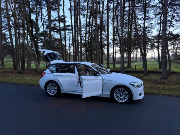 BMW 1-Series 116i 210 BHP Mapped 374176248