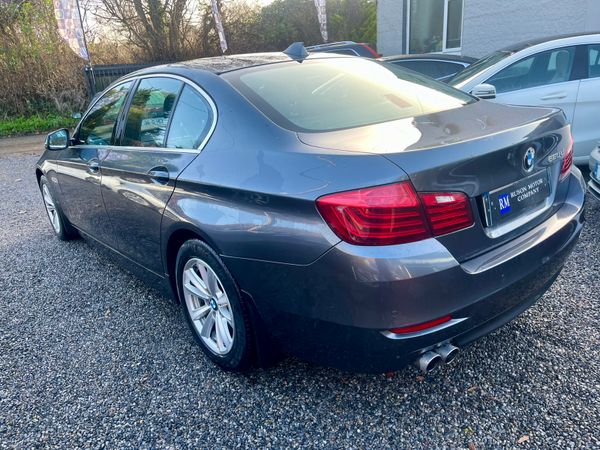 BMW 520d SE /Immaculate Condition/Fully Serviced 374476286