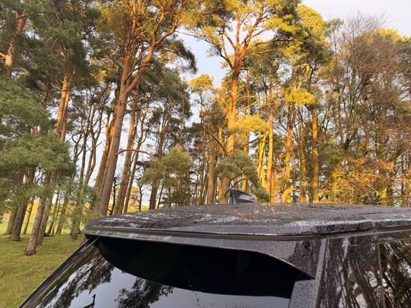 Land Rover Range Rover 2020 Vogue 375408315