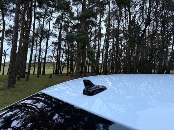 Audi A3 2021 TDI Maxton Design 375455014