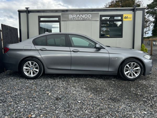 BMW 520D SE Auto 370078431