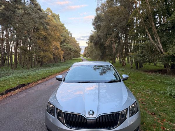 Skoda Octavia 2019 TDI Automatic 370311716