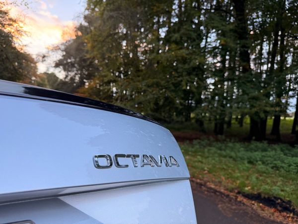 Skoda Octavia 2019 TDI Automatic 370311726
