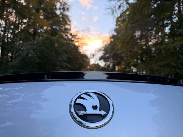 Skoda Octavia 2019 TDI Automatic 370311723