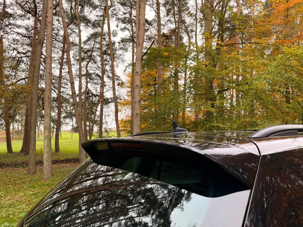 Volkswagen Tiguan R Line TDI 371222185